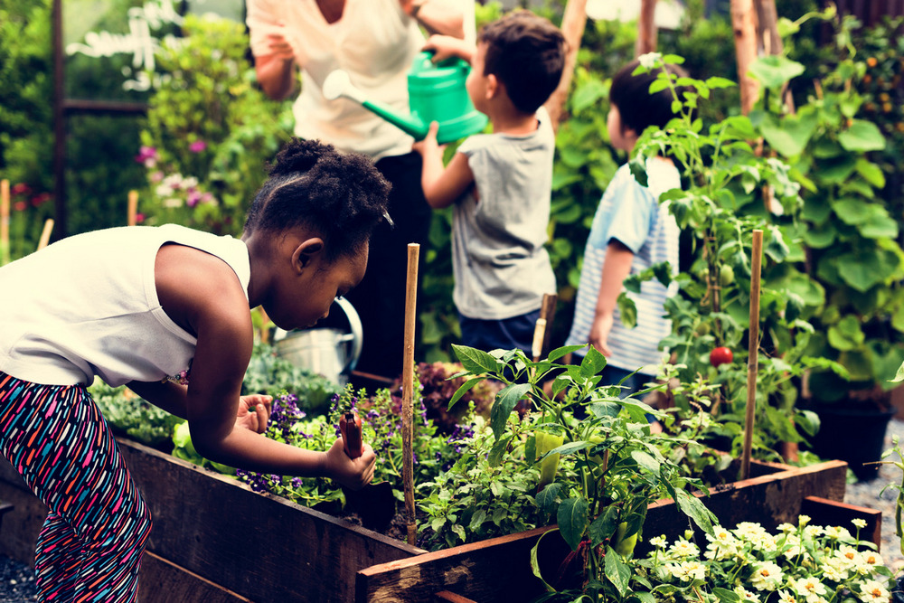 Des enfants et leur professeur qui s'occupe du potager
